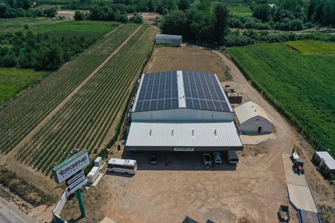 Yılda bir milyon meyve fidanı üretip ihraç ediyorlar: Elektrik bedava! Öyle bir sistem kurmuşlar ki paraya para demiyorlar 6